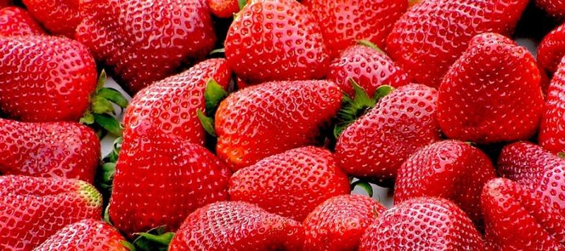 seguridad alimentaria