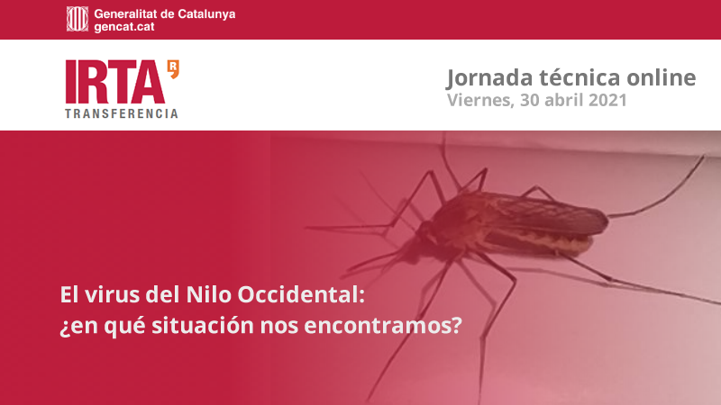 virus nilo occidental