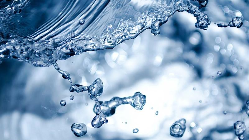 seguridad alimentaria