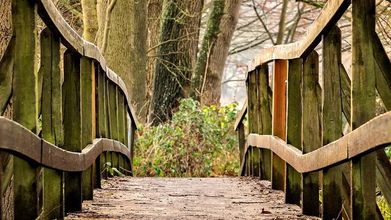 tratamiento de la madera