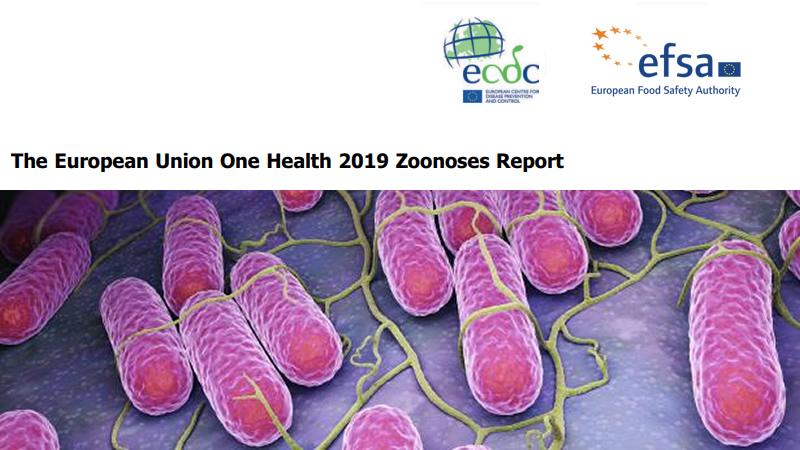 zoonosis