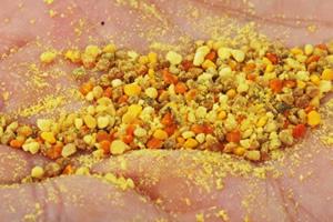 insecticidas y abejas