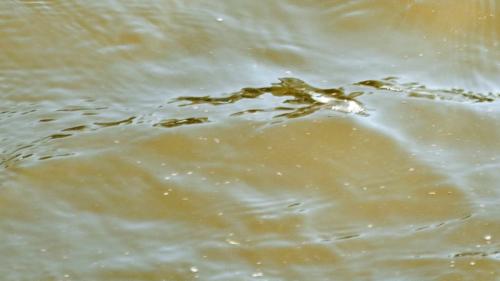 tratamiento del agua