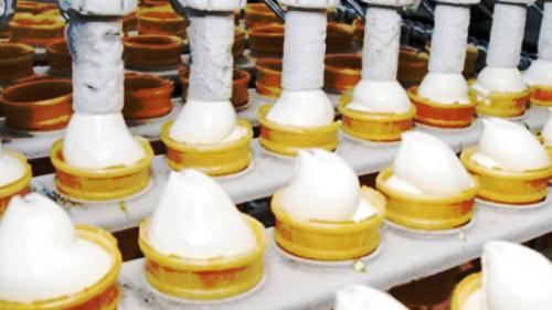 seguridad alimentaria