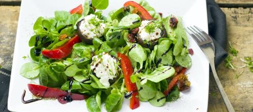 seguridad alimentaria