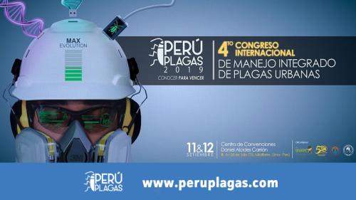 peru plagas 2019