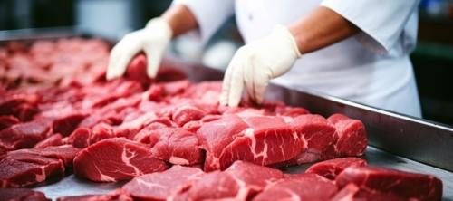 clasificacion de establecimientos alimentarios