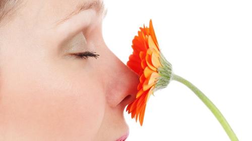 calidad aire interior