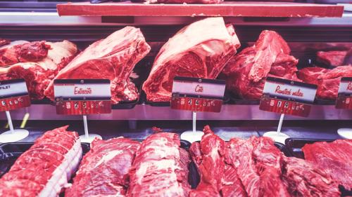 seguridad alimentaria