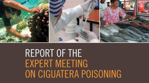 seguridad alimentaria