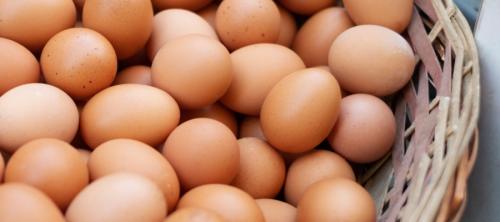 seguridad alimentaria