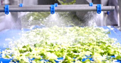 seguridad alimentaria