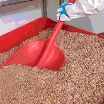 seguridad alimentaria