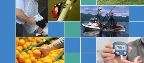 seguridad alimentaria