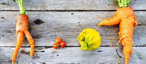 desperdicio alimentario