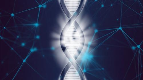 seguridad alimentaria