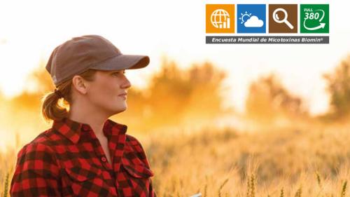 micotoxinas