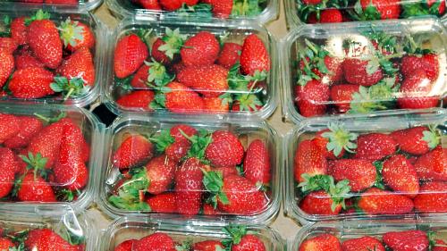 seguridad alimentaria