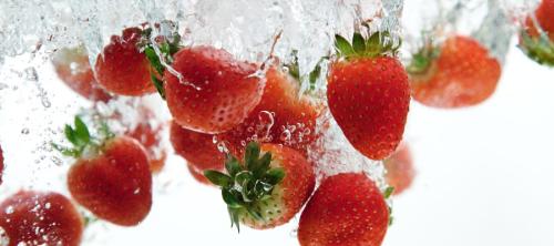 seguridad alimentaria