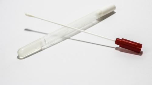 seguridad alimentaria