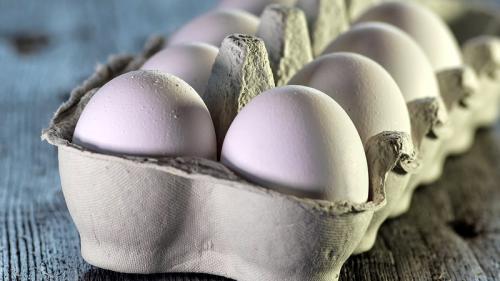 seguridad alimentaria