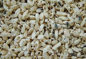 seguridad alimentaria