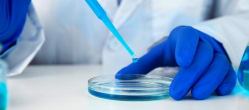 microbiologia alimentaria