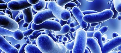 legionella