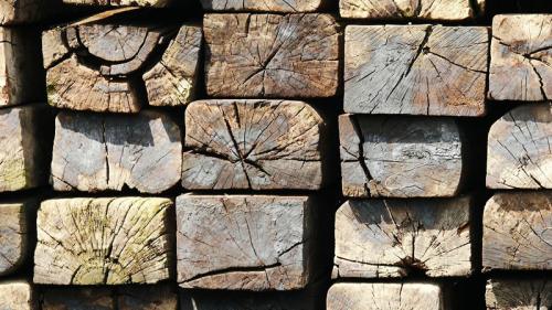 tratamiento de la madera