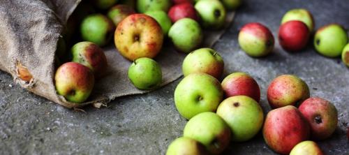 desperdicio alimentario