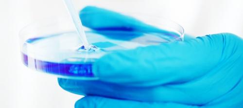 microbiologia alimentaria