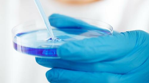 microbiologia alimentaria