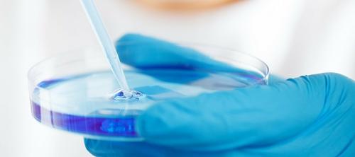 listeria monocytogenes