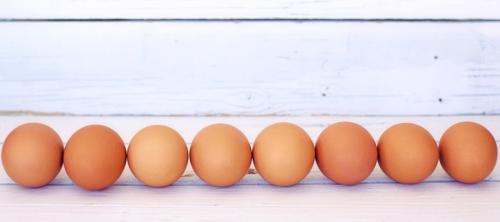 seguridad alimentaria