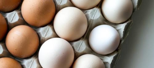 seguridad alimentaria