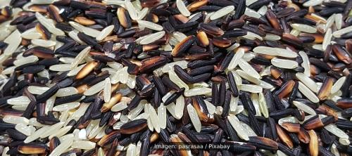 seguridad alimentaria