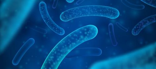 plan sanitario del agua