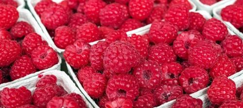 seguridad alimentaria