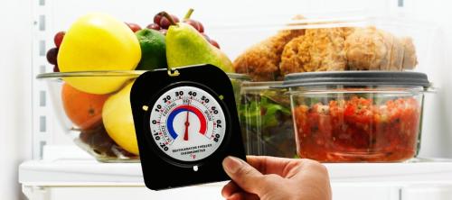 seguridad alimentaria