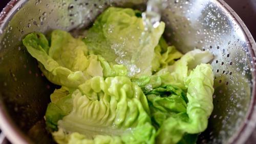 seguridad alimentaria