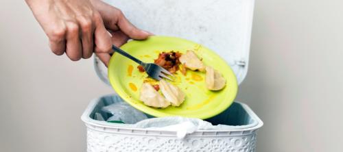 desperdicio alimentario