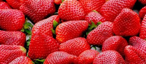 seguridad alimentaria