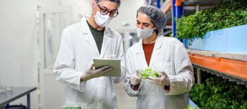 seguridad alimentaria