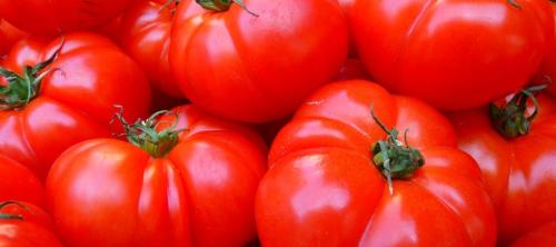 seguridad alimentaria