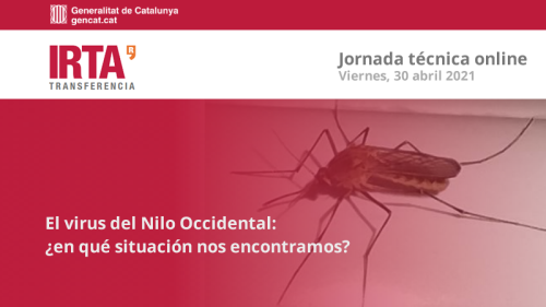 virus nilo occidental