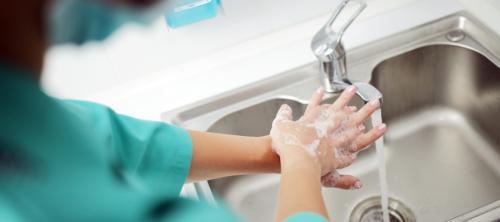 Pseudomonas aeruginosa