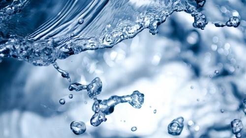 seguridad alimentaria