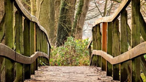 tratamiento de la madera