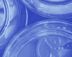 alertas alimentarias