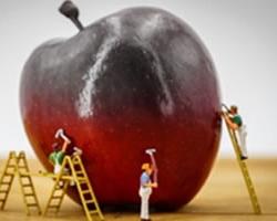 seguridad alimentaria